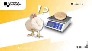FCR Ayam Broiler di Mirit, Kebumen yang Menguntungkan