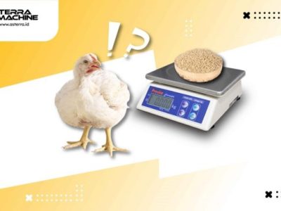 FCR Ayam Broiler di Mirit, Kebumen