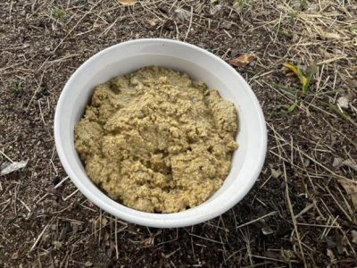 Pakan Fermentasi Ayam di Kebumen, Kabupaten Kebumen