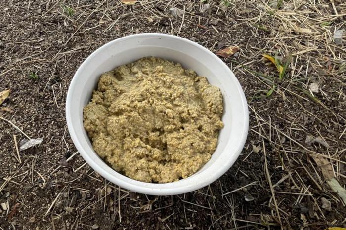 Pakan Fermentasi Ayam di Kebumen, Kabupaten Kebumen