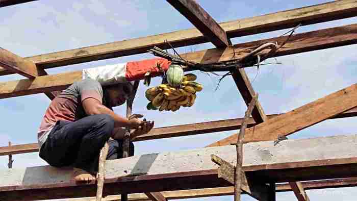 Bisnis Ayam Petelur di Kutoarjo, Purworejo