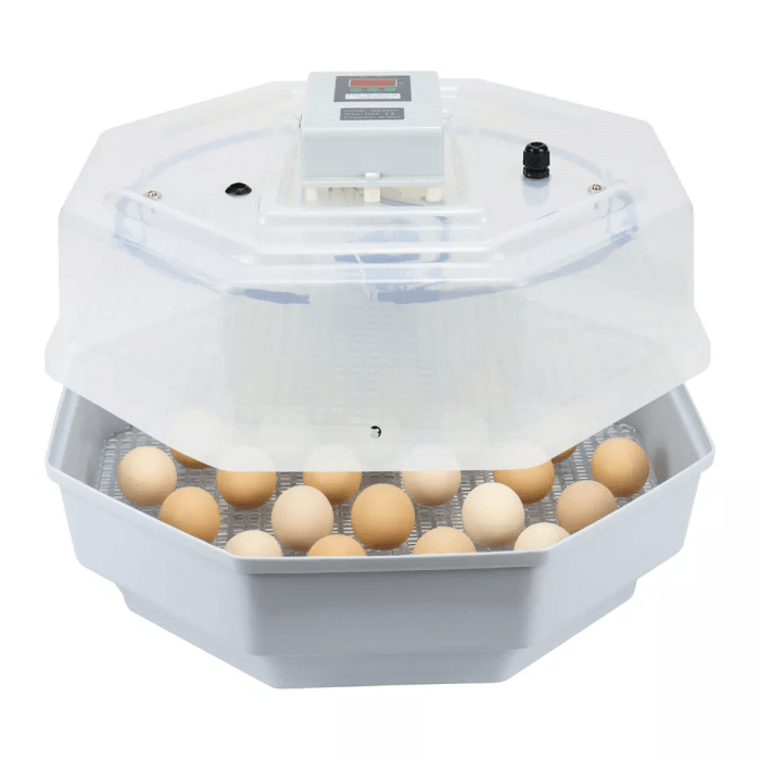 Inkubator Telur Otomatis di Sempor, Kebumen