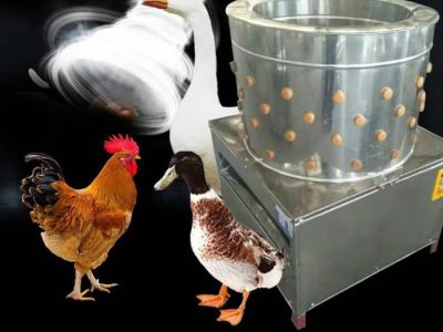 Mesin Pencabut Bulu Ayam di Kutowinangun, Kebumen