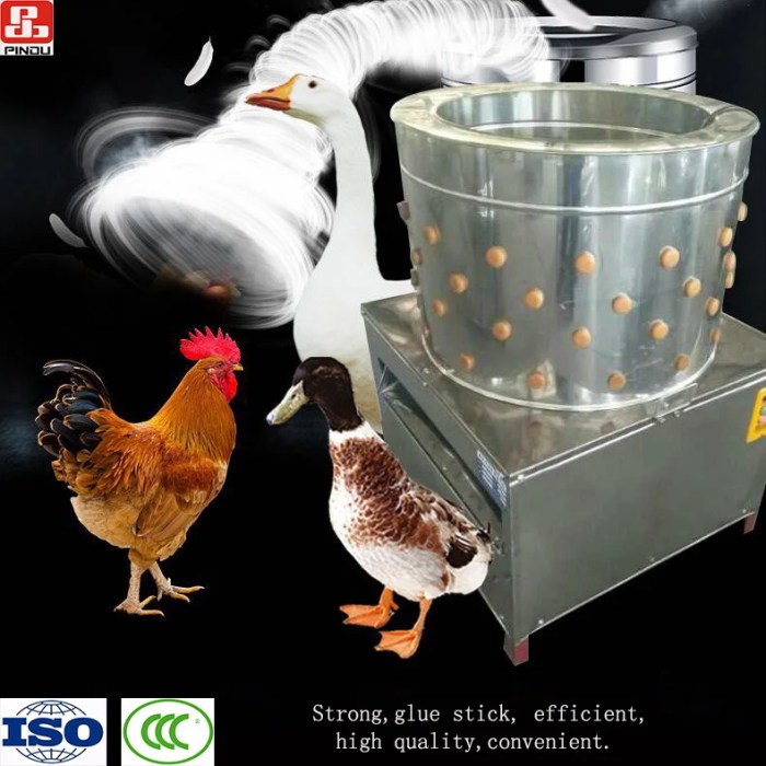 Mesin Pencabut Bulu Ayam di Kutowinangun, Kebumen