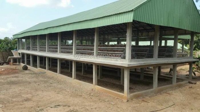 Kandang Ayam Petelur di Purwokerto Utara, Banyumas