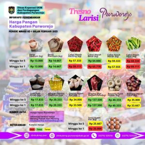 Harga DOC Hari Ini di Bruno, Purworejo Terbaru