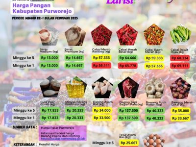Harga DOC Hari Ini di Bruno, Purworejo