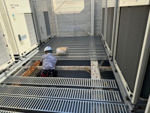 Grup Peternak Broiler di Cilongok, Banyumas Berkembang Pesat