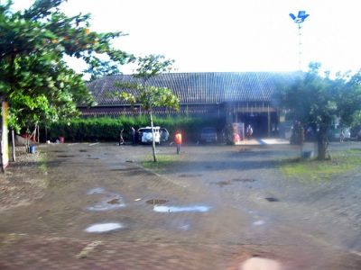 Vitamin Ayam Terbaik di Sumpiuh, Banyumas