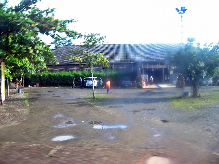 Vitamin Ayam Terbaik di Sumpiuh, Banyumas