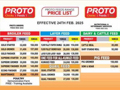 Harga Pakan Ayam di Cilongok, Banyumas
