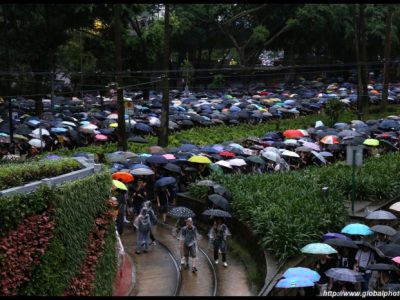 Jual Ayam Bangkok di Karangsambung, Kebumen
