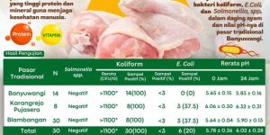 Ayam Berak Darah di Banyumas, Kabupaten Banyumas