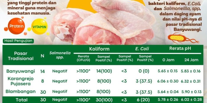 Ayam Berak Darah di Banyumas, Kabupaten Banyumas
