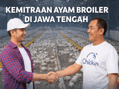Grup Peternak Broiler di Ayah, Kebumen