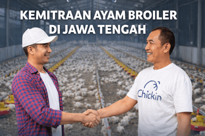 Grup Peternak Broiler di Ayah, Kebumen