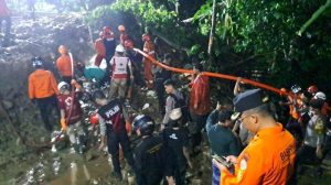 Ayam Bangkok Muda di Pejagoan, Kebumen yang Menarik