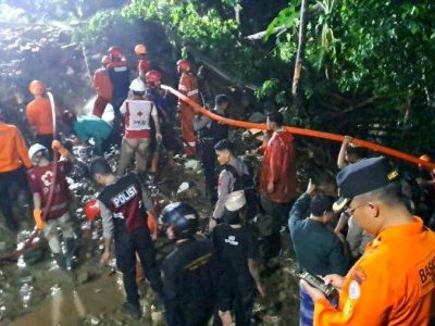 Ayam Bangkok Muda di Pejagoan, Kebumen