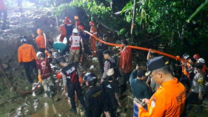 Ayam Bangkok Muda di Pejagoan, Kebumen