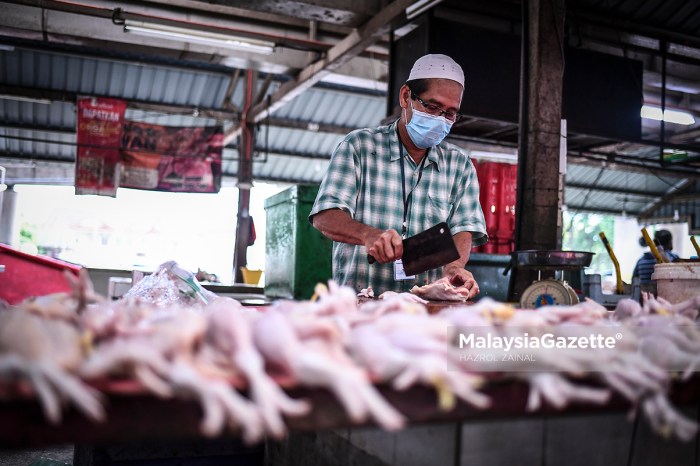Harga Pakan Ayam di Pakuncen, Banyumas