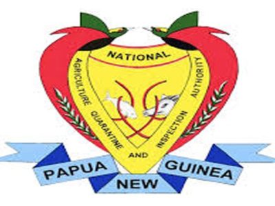 Ternak Ayam Modal Kecil di Gumelar, Banyumas