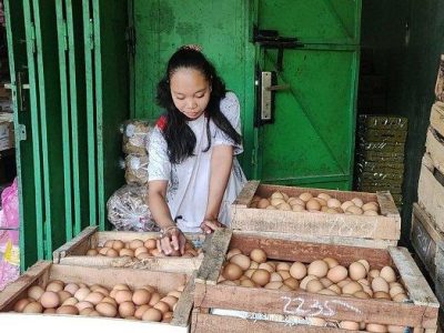 Harga Telur Ayam di Somagede, Banyumas