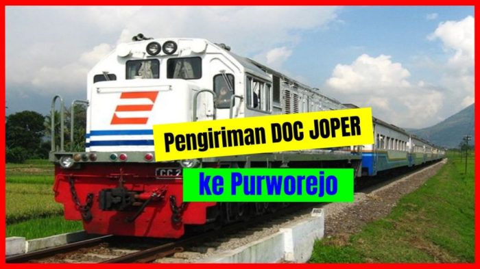 Harga DOC Hari Ini di Kutoarjo, Purworejo