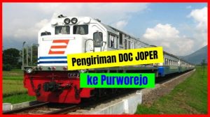 Harga DOC Hari Ini di Kutoarjo, Purworejo Terbaru
