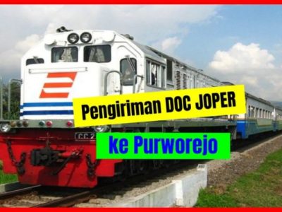 Harga DOC Hari Ini di Kutoarjo, Purworejo