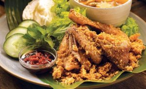Ayam Stres di Banyuurip, Purworejo Menghadapi Tantangan