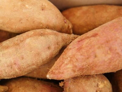 Harga DOC Hari Ini di Bonorowo, Kebumen