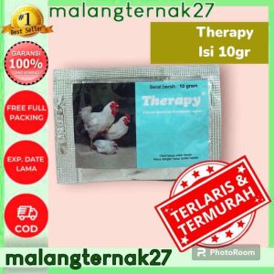 Obat Ayam Ngorok di Sokaraja, Banyumas dan Solusinya