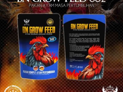 Pakan Ayam Bangkok di Kebasen, Banyumas