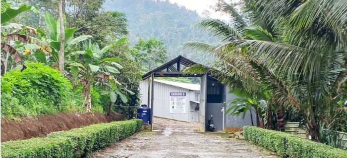 Kandang Ayam Kampung di Kedung Banteng, Banyumas