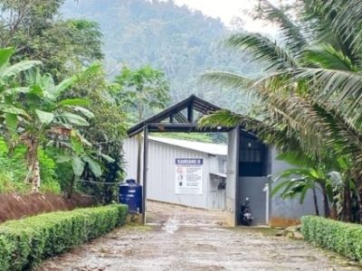 Kandang Ayam Kampung di Kedung Banteng, Banyumas