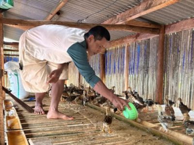 Alat Ternak Ayam di Ayah, Kebumen