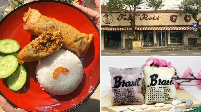 Harga DOC Hari Ini di Purwojati, Banyumas