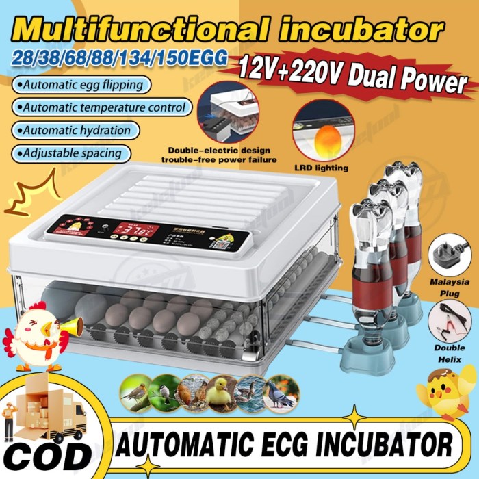 Inkubator Telur Otomatis di Poncowarno, Kebumen