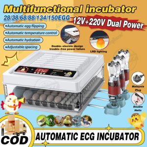 Inkubator Telur Otomatis di Poncowarno, Kebumen