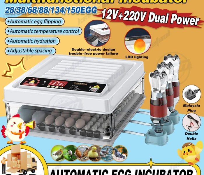 Inkubator Telur Otomatis di Poncowarno, Kebumen