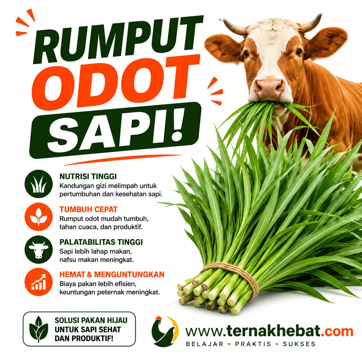 Vitamin Ayam Terbaik di Getasan, Semarang