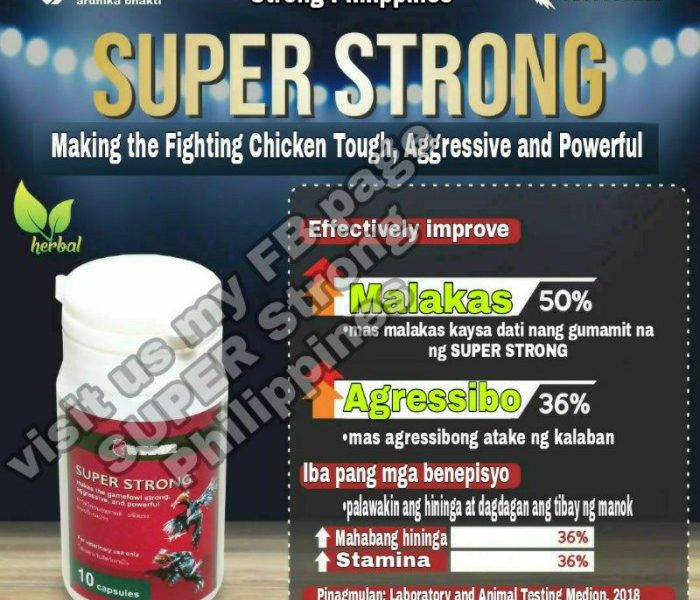 Vitamin Ayam Terbaik di Loano, Purworejo