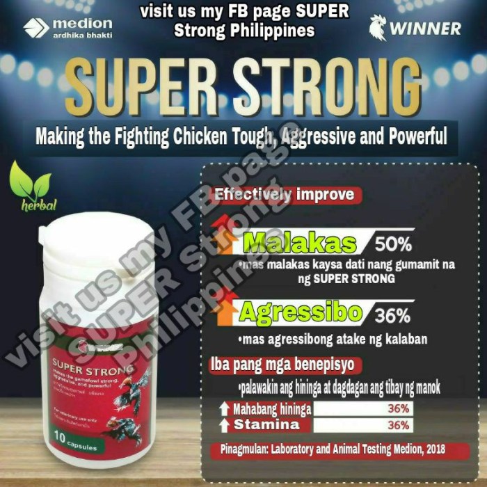 Vitamin Ayam Terbaik di Loano, Purworejo