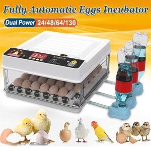 Inkubator Telur Otomatis di Karanganyar, Kebumen