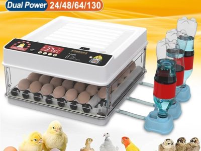 Inkubator Telur Otomatis di Karanganyar, Kebumen
