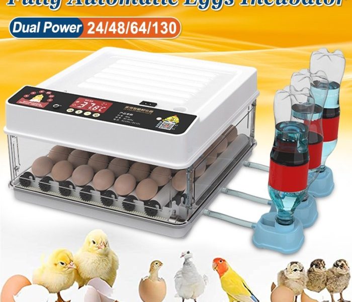 Inkubator Telur Otomatis di Karanganyar, Kebumen