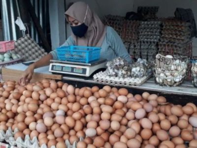 Harga Telur Ayam di Sadang, Kebumen