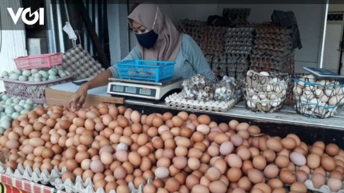 Harga Telur Hari Ini di Rawalo, Banyumas