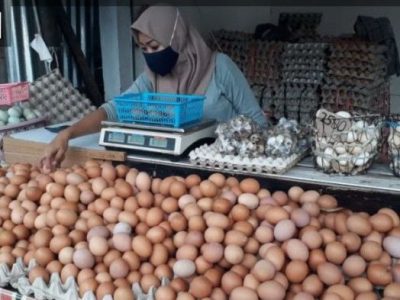 Harga Telur Hari Ini di Rawalo, Banyumas