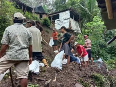 Ayam Lumpuh di Karangsambung, Kebumen
